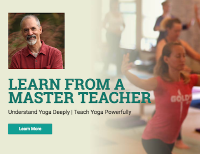 Viniyoga Teacher/Therapist Training